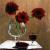 Gerbera von Geert Winkel