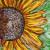 Sonnenwind von
