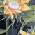 Sonnenblumen von Sonja Kaspar