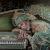 Die Pianistin von Brigitte W