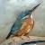 Eisvogel von FOUNTAIN