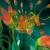 Verrückte Tulpen / Crazy Tulips von robolotion
