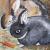 Hopsi und Picasso von