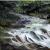 Waldbach von GH