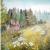 Waldwiese von GH