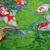 Koi Water von Lizard Design