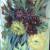 Wildblumen Studie von MH