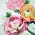 Ranunculus von