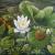 Seerose von ufa