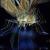 Cyborg insect von Orfeu de SantaTeresa