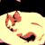 Foxy Zuckermaus von