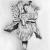 Blume von
