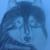 Wolfshybrid Emmi von