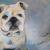 Old English Bulldog von