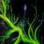 Greenpart I von