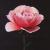 Between the rose and my soul von Tamara Valdovino