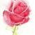 Between the rose and my soul von Tamara Valdovino