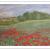 Mohnlandschaft von PeGeArt