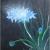 blue flower von SJ