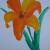 orange flower von SJ