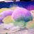 Bunte Welt von