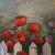 Poppies von