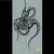 Hydra von