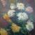 Chrysanthemum von