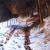 Herbstschnee von