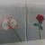 amaryllis/rose von DICK (rhk/STYLEfusion/dbm)