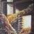 Collection von psp