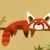 Roter Panda von Lili-Pix
