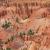 Jericho Ridge (Cedar Breaks, USA) von