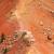 The Beauty of Decay (Cedar Breaks, USA) von