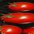 Flying Tomatos von MartinusLinzer