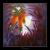 Winterernte: Hagebutte von clu-art