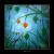 Winterernte: Lampionblume von clu-art