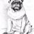 Der Mops von