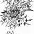 Zauberblume von Nina