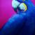 blauer Ara von gisela