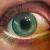 Auge von