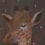 0050 Giraffe-SB09-50x100 von Black Luna