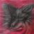 Wolf von Sonea