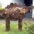 Stegosaurus von ZarathustraDesign
