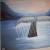 Wal taucht unter 50x40 von rosanna-bormani
