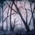 Mystic Forrest von Jean Ledoux