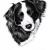Border Collie Hündin von