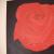 Rose 40x40 von rosanna-bormani