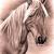 Haflinger Stute von