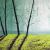 A Walk von